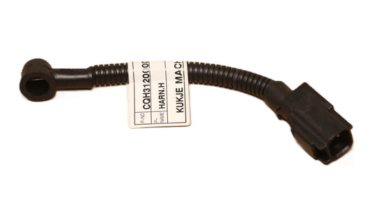 WIRE HARNESS H