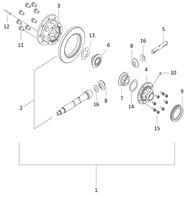 Ring Gear, Differential Gear Assembly