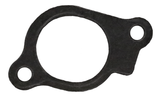 Briggs Intake Gasket