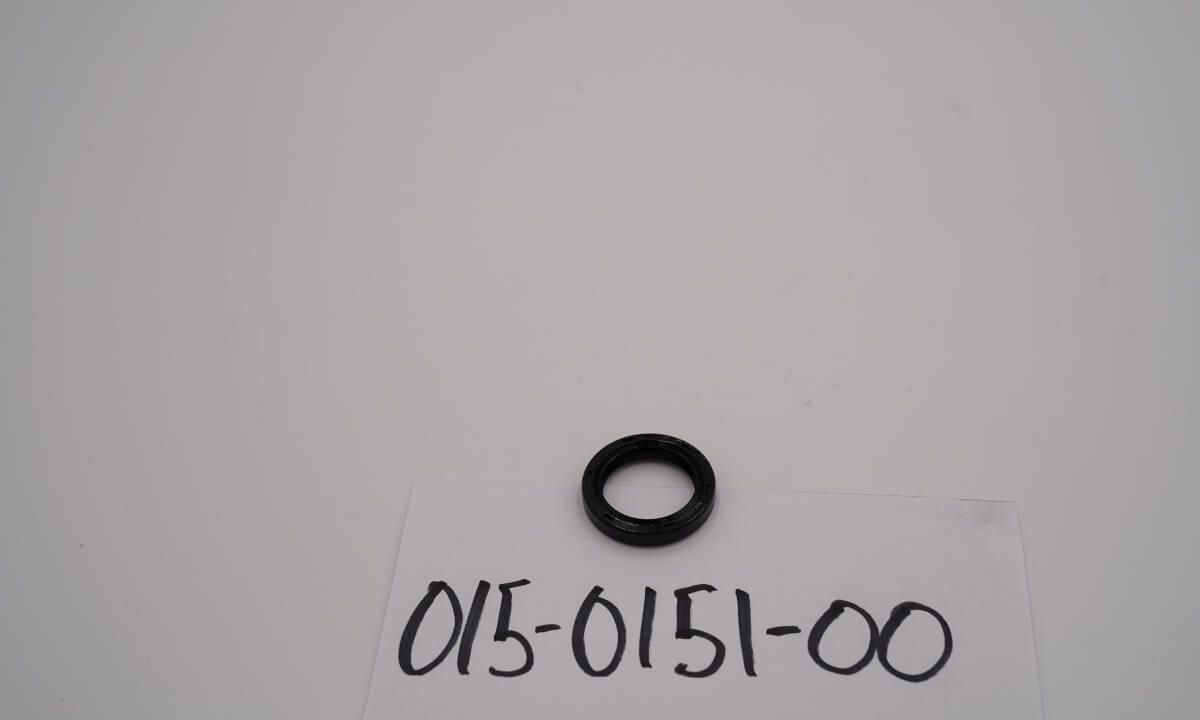 Briggs Crankcase Seal