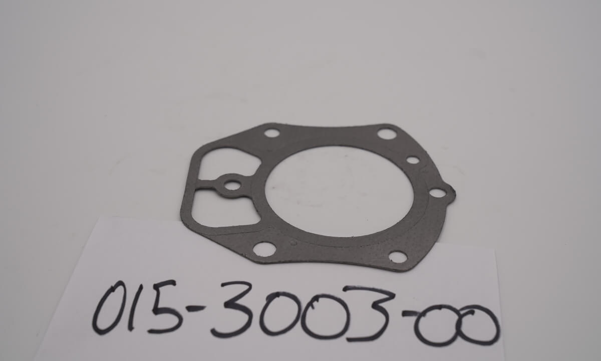 993 EFI Vanguard Head Gasket
