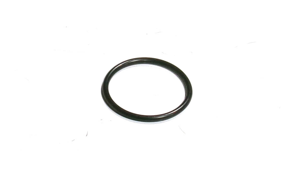 FUEL FILTER O-Ring