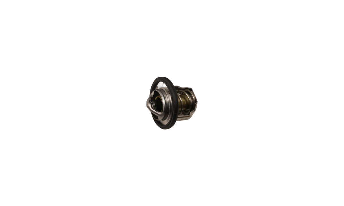 THERMOSTAT 71