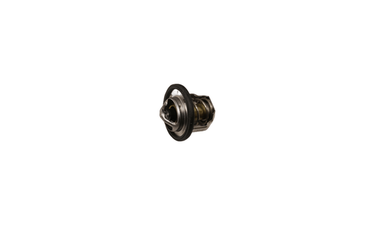 THERMOSTAT 71