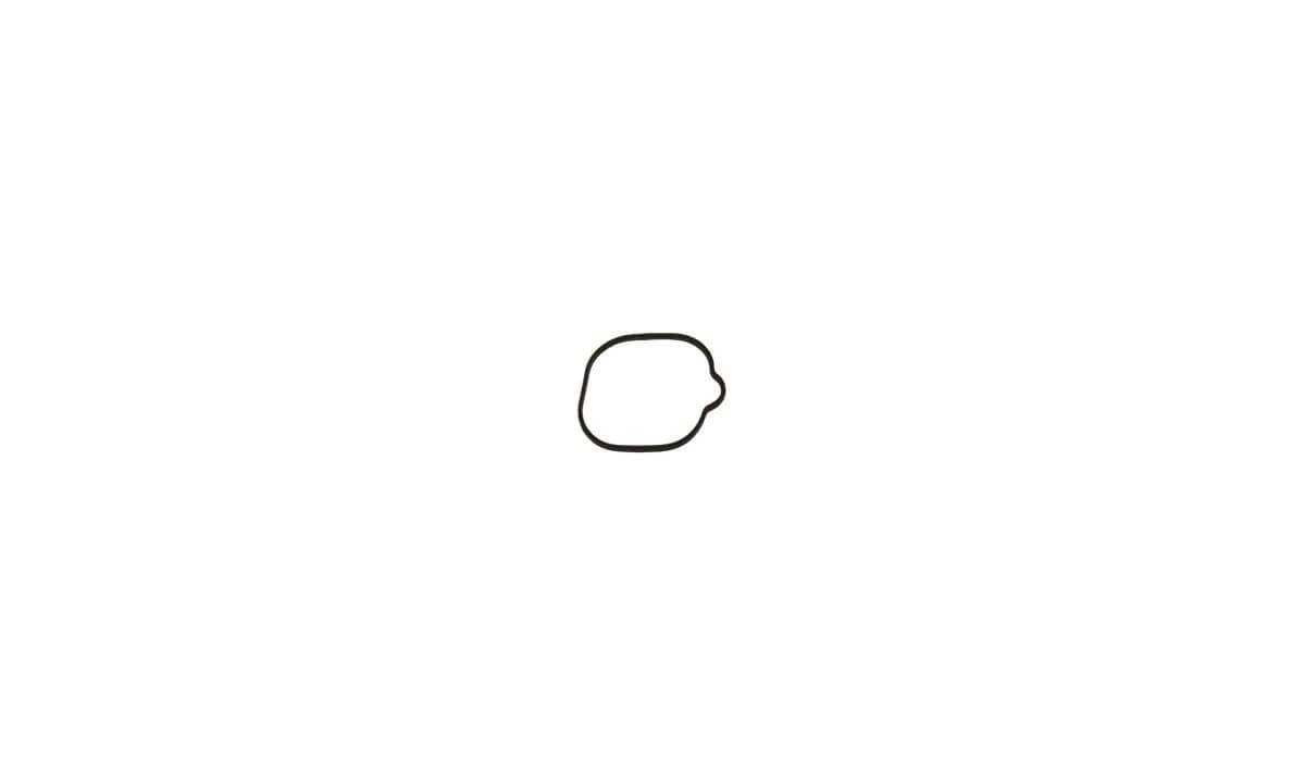 Gasket