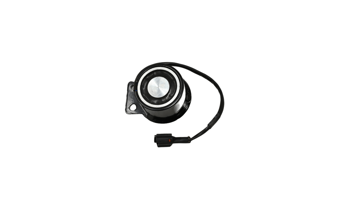 MAGNETIC ASSY , CRUISE