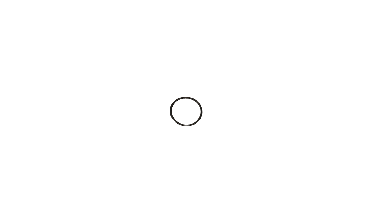 O-RING, FIX (F24)