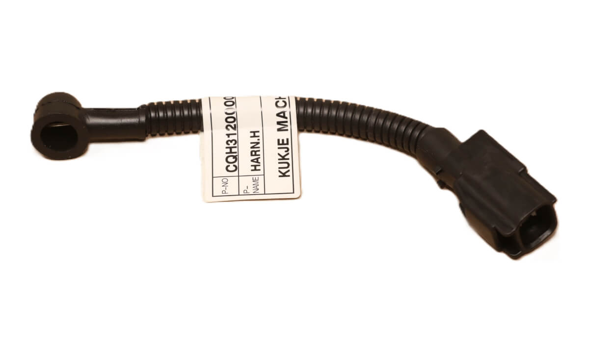 WIRE HARNESS H