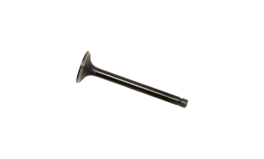 VALVE  EXHAUST for BB2024H/BB3026H