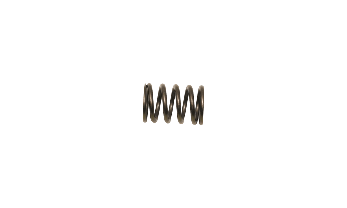 SPRING  VALVE for BB2024H/BB3026H
