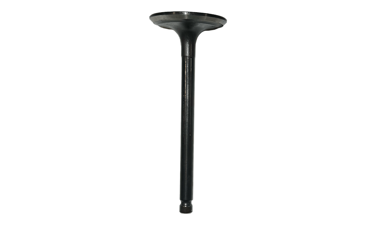 Intake Valve