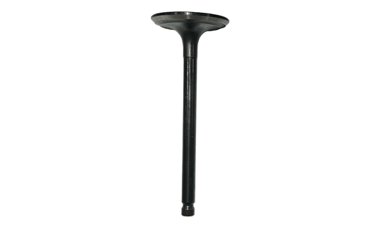 Intake Valve