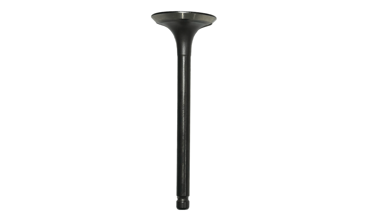 Exhaust Valve
