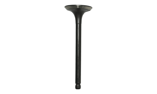 Exhaust Valve
