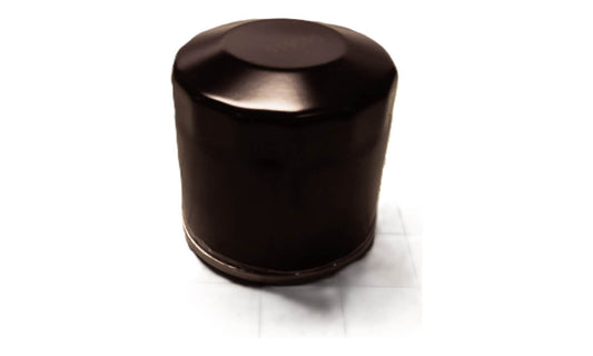 Oil Filter 250-750 models