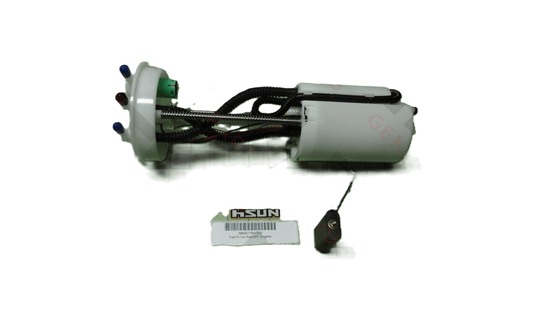 Fuel Pump, UTV