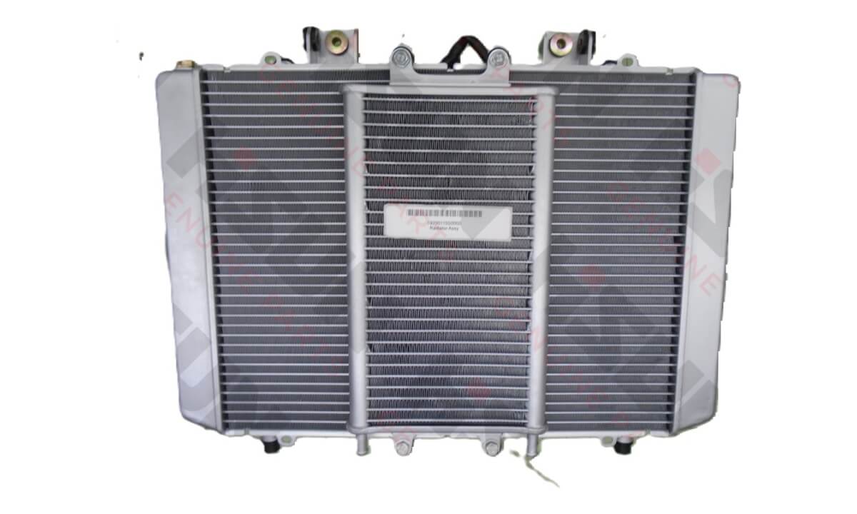 Radiator Assy